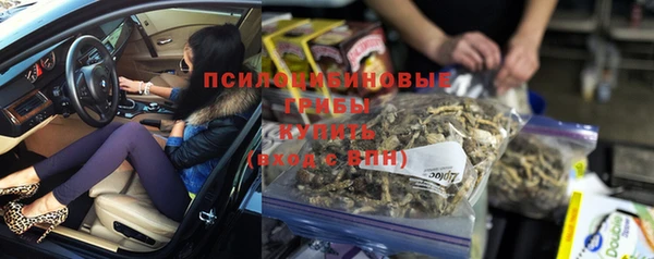 трава Бежецк