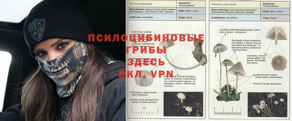 прущая мука Абаза