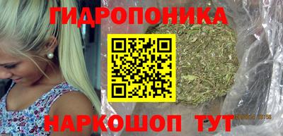 скорость Бийск