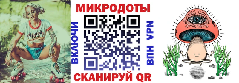 Псилоцибиновые грибы Psilocybine cubensis  Великие Луки 