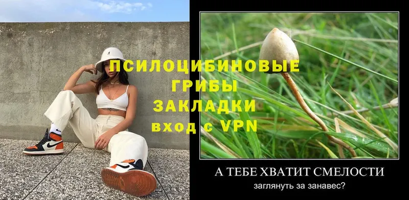 Псилоцибиновые грибы GOLDEN TEACHER  Великие Луки 